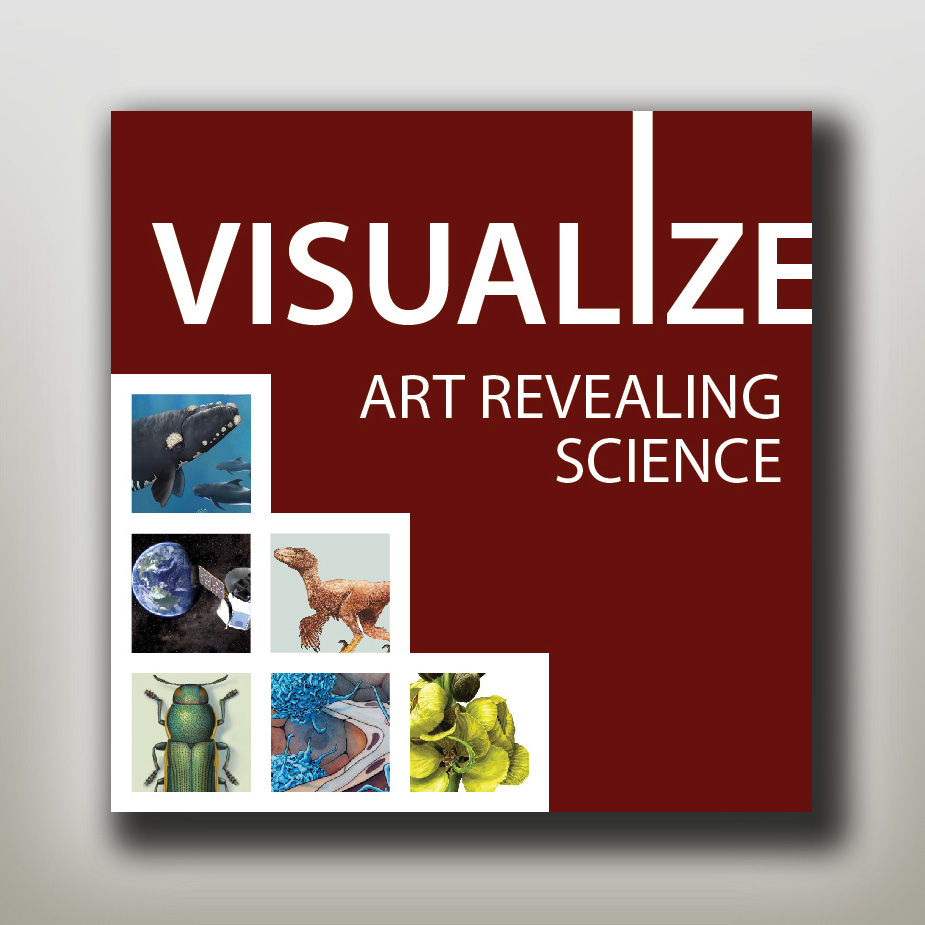 Logo showing boxes of different examples of scientific illustration along with the exhibition title "Visualize, Art Revealing Science"